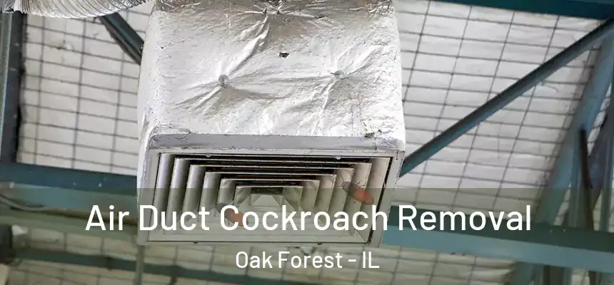 Air Duct Cockroach Removal Oak Forest - IL