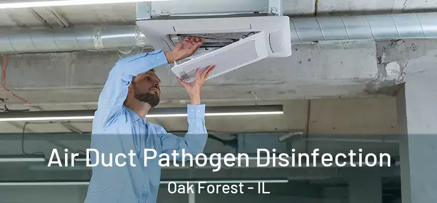  Air Duct Pathogen Disinfection Oak Forest - IL