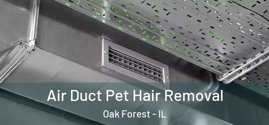  Air Duct Pet Hair Removal Oak Forest - IL