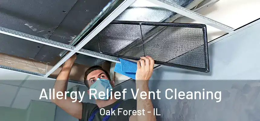 Allergy Relief Vent Cleaning Oak Forest - IL