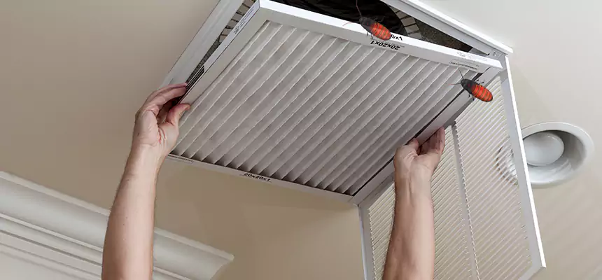 Preventive Cockroach-Proofing for Ducts in Oak Forest