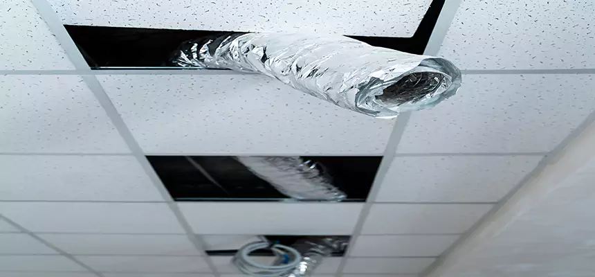 Affordable HVAC Sanitizing After Pest Removal in Oak Forest