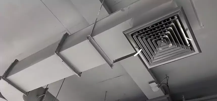 Restorative Allergy Relief Vent Cleaning – Coil, Blower & Housing Detail in Oak Forest