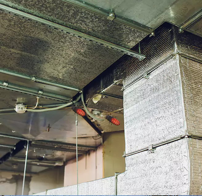 Why Homeowners & Businesses Trust Us in Oak Forest, IL?