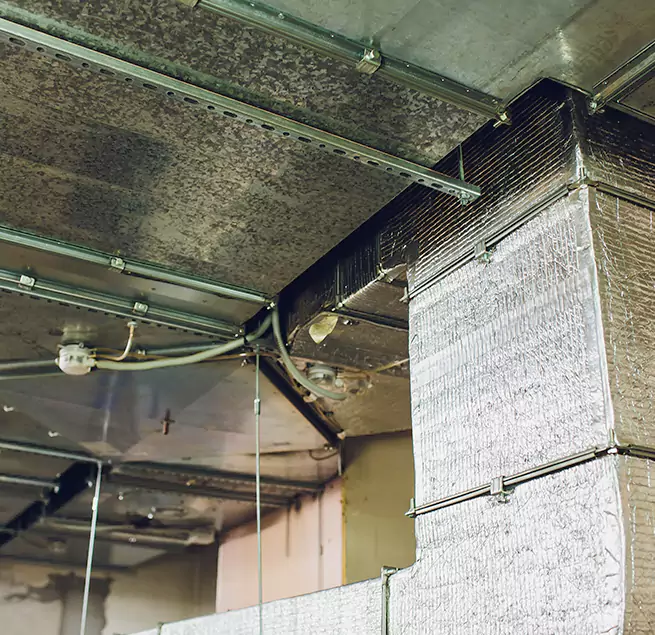 Why Homeowners & Businesses Trust Us in Oak Forest, IL?